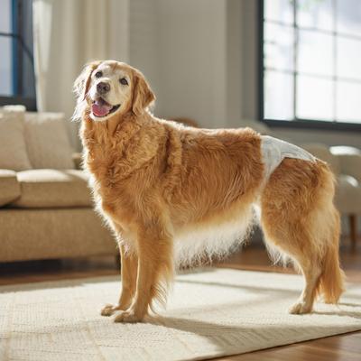 Show full view: Frisco Disposable Female Dog Diapers, Large 12 count slide 7 of 10