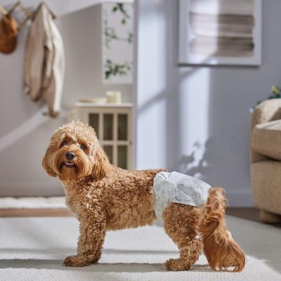 Show full view: Frisco Disposable Female Dog Diapers, Small, 50 count slide 7 of 10