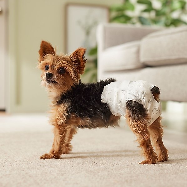 Show full view: Frisco Disposable Female Dog Diapers, X-Small, 12 count slide 7 of 10