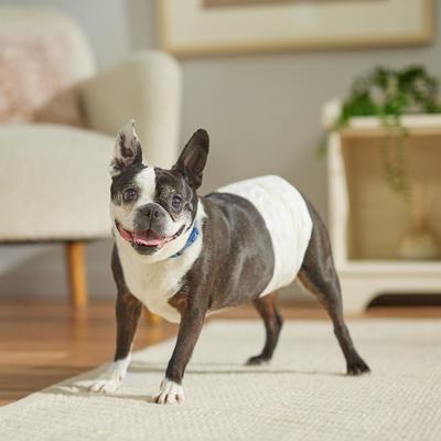 Show full view: Frisco Disposable Male Dog Wraps, Small, 60 count slide 6 of 9