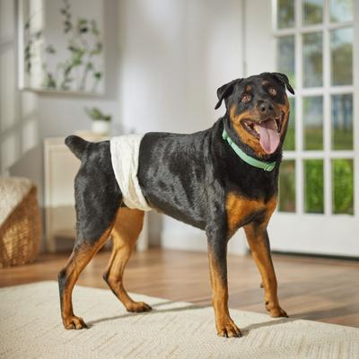 Show full view: Frisco Disposable Male Dog Wraps, X-Large: 27 to 31-in waist, 12 count slide 7 of 10