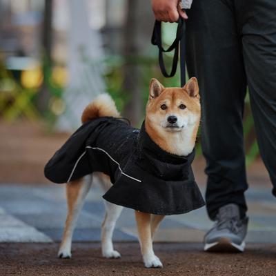 Show full view: Frisco Dog Cape Raincoat, Black, Small slide 8 of 11