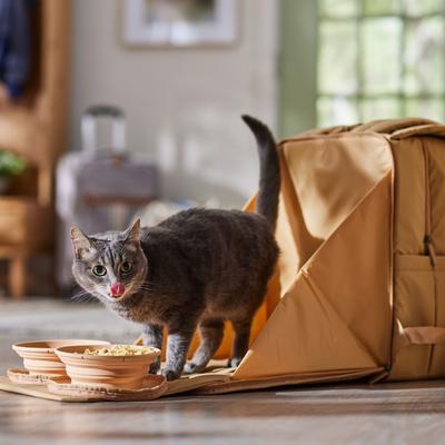 Show full view: Frisco Dog & Cat Backpack Travel Bag with Double Bowl and Food Storage, Beige slide 8 of 11