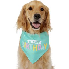 Frisco Dog & Cat Birthday Bandana, Medium/Large