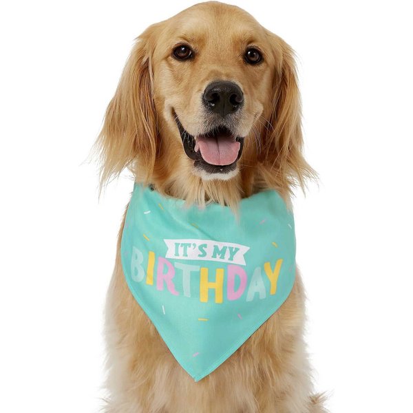 Frisco It's My Birthday Dog & Cat Bandana, Blue