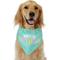 Show in main carousel: Frisco Dog & Cat Birthday Bandana, Medium/Large slide 1 of 8