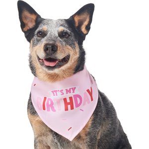 Frisco Dog & Cat Birthday Bandana, Pink, Medium/Large