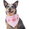 Show in main carousel: Frisco Dog & Cat Birthday Bandana, Pink, Medium/Large slide 3 of 8