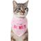 Show in main carousel: Frisco Dog & Cat Birthday Bandana, Pink, X-Small/Small slide 3 of 9