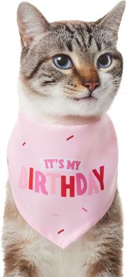 Show full view: Frisco Dog & Cat Birthday Bandana, Pink, X-Small/Small slide 3 of 9
