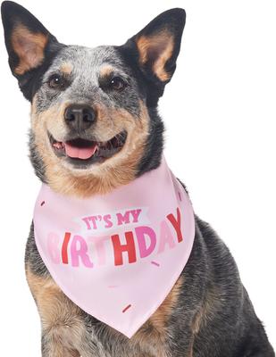 Show full view: Frisco Dog & Cat Birthday Bandana, Pink, X-Small/Small slide 4 of 9