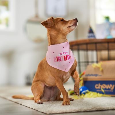 Show full view: Frisco Dog & Cat Birthday Bandana, Pink, X-Small/Small slide 6 of 9