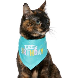 Frisco Dog & Cat Birthday Bandana, X-Small/Small