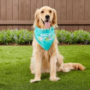 Frisco Dog & Cat Birthday Bandana, X-Small/Small
