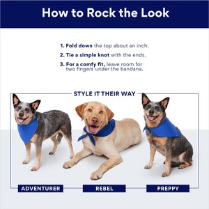 Frisco Dog & Cat Birthday Bandana, X-Small/Small