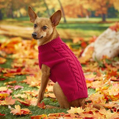 Show full view: Frisco Dog & Cat Cable Knitted Sweater, Red, Medium slide 5 of 9