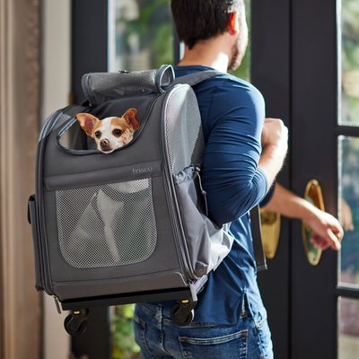 Frisco Frisco Dog & Cat Carrier on Wheels, Grey