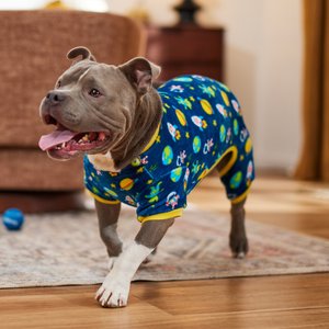 Frisco Dog & Cat Cozy Plush Fleece Pajamas, Outer Space, Small