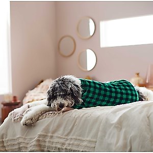 Frisco Dog & Cat Cozy Plush Fleece PJs, Green Plaid, Medium