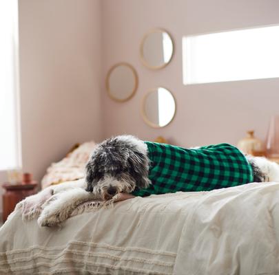 Show full view: Frisco Dog & Cat Cozy Plush Fleece PJs, Green Plaid, Small slide 7 of 9
