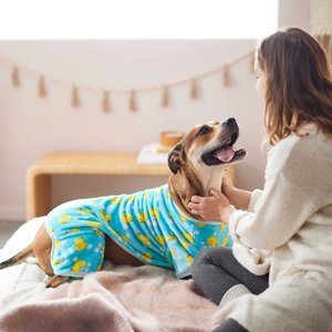 Frisco Dog & Cat Cozy Plush Fleece PJs, Blue, Small