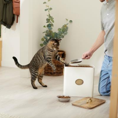 Show full view: Frisco Dog & Cat Paw Food Storage Canister, White, 16 qt/64 cups, 1 count slide 4 of 8