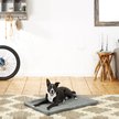 Show in main carousel: Frisco Dog Crate Mat, Dark Gray, 36-in slide 1 of 7