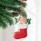 Show in main carousel: Frisco Christmas Dog in Stocking Resin Personalized Ornament slide 3 of 7