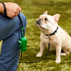 Frisco Dog Poop Bag Dispenser & Poop Bag Roll, Green, Unscented Bags, 15 count roll