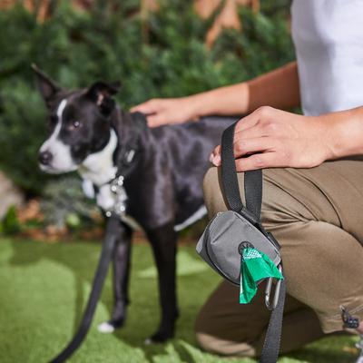 Show full view: Frisco Dog Poop Bags with Fabric Dispenser, Gray, 30 count slide 8 of 10