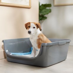 Frisco Dog Potty Tray X-Large