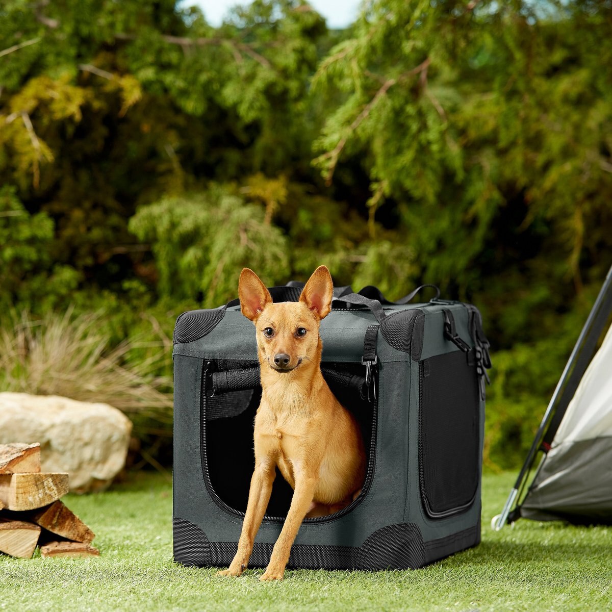 Frisco Dog Indoor & Outdoor 3-Door Collapsible Soft-Sided crate, Dark Gray, XS: 21-in L x 15-in W x 15-in H