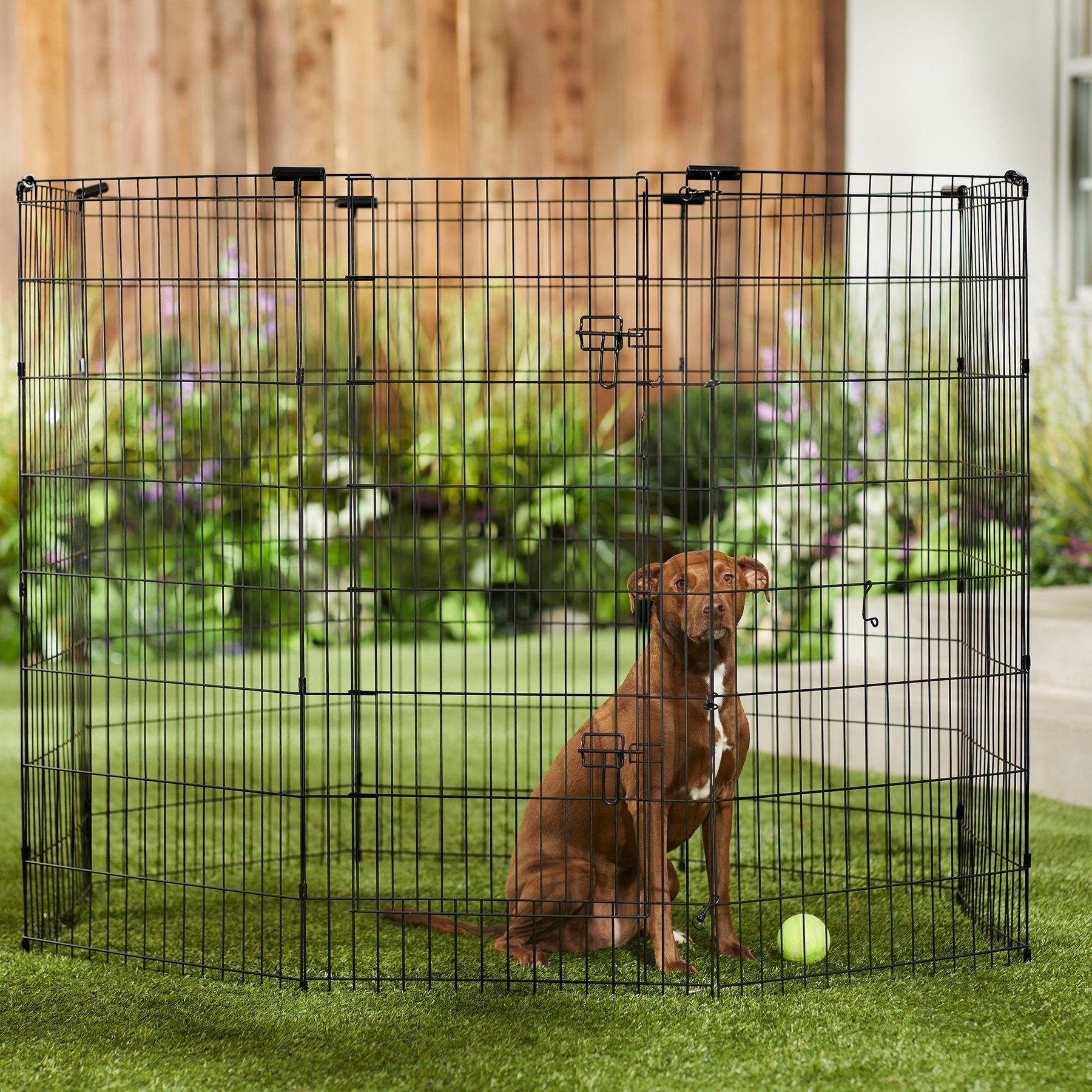 FRISCO Dog Small Pet Wire Exercise Pen with Step-Through Door