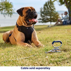 Frisco Dog Tie-Out Stake