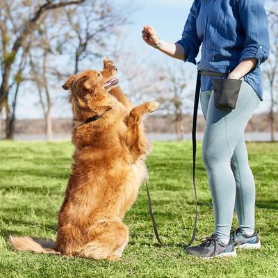 Show full view: Frisco Dog Training Treat Pouch Bag, Black slide 5 of 9
