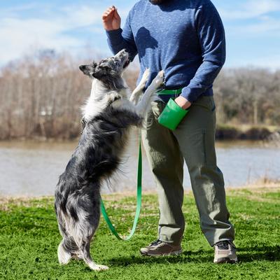 Show full view: Frisco Dog Training Treat Pouch Bag, Green slide 6 of 10