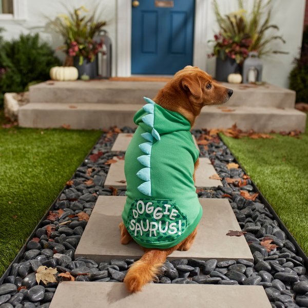 Frisco Doggiesaurus Dog & Cat Hoodie, Green