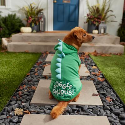 Show full view: Frisco Doggiesaurus Dog & Cat Hoodie, Green, Large slide 7 of 9