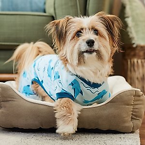 Frisco Dolphin Dog & Cat PJs, Blue, Medium