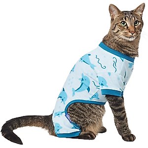 Frisco Dolphin Dog & Cat PJs, Blue, Medium