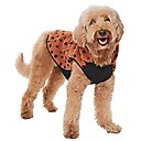Frisco Dotted Dog & Cat Hoodie, Large