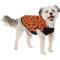 Show in main carousel: Frisco Dotted Dog & Cat Hoodie, Medium slide 1 of 10