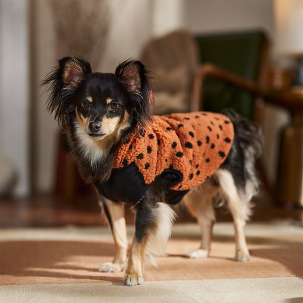 Show full view: Frisco Dotted Dog & Cat Hoodie, Medium slide 8 of 10