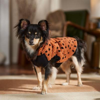 Show full view: Frisco Dotted Dog & Cat Hoodie, Medium slide 8 of 10