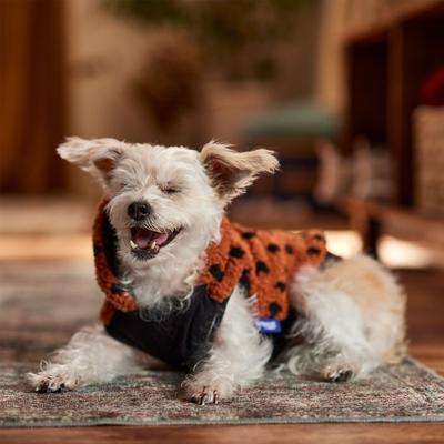 Frisco Dotted Dog & Cat Hoodie