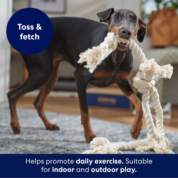 Frisco Tug & Fetch Rubber Disc with Double Knot Rope Dog Toy