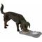 Show in main carousel: Frisco Double Stainless Steel Pet Bowl with Silicone Mat, Gray, Small: 1.5 cup slide 6 of 9