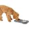 Show in main carousel: Frisco Double Stainless Steel Pet Bowl with Silicone Mat, Gray, X-Small: 0.5 cup slide 6 of 9