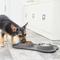 Show in main carousel: Frisco Double Stainless Steel Pet Bowl with Silicone Mat, Gray, X-Small: 0.5 cup slide 7 of 9