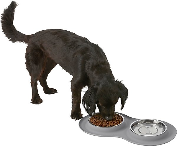 Show full view: Frisco Double Stainless Steel Pet Bowl with Silicone Mat, Light Gray, Small: 1.5 cup slide 6 of 9